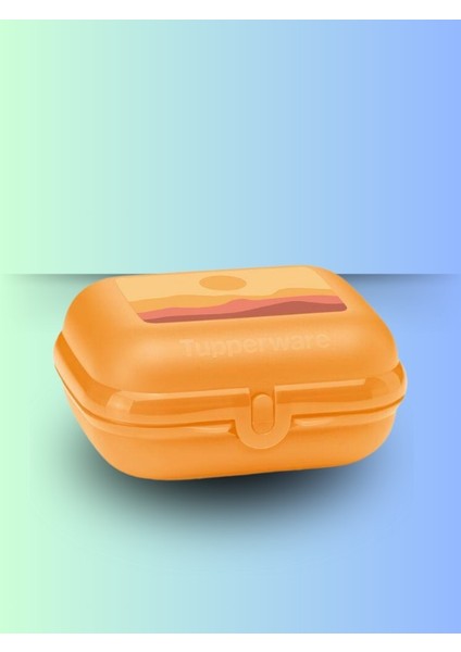 Eco Şişe ve Istiridye Saklama Kabı fiyatları