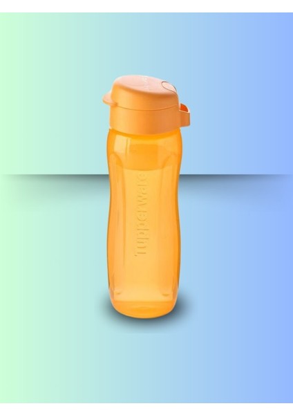 Eco Şişe ve Istiridye Saklama Kabı modelleri