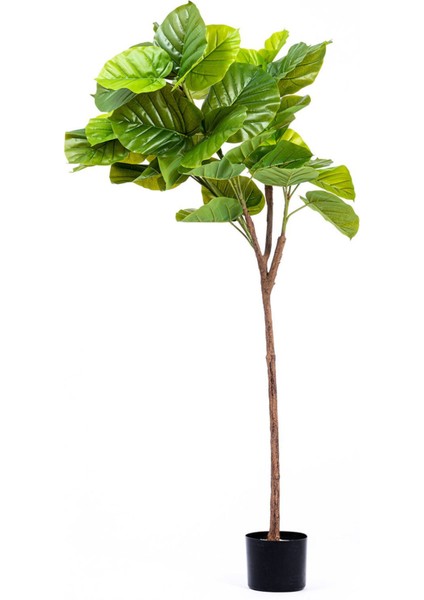 Ficus Umbellata Yapay Ağaç Gerçek Dokulu Yeşil 150 Cm