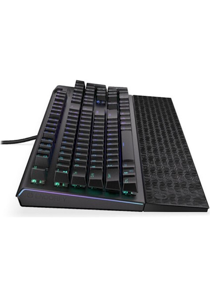 Omnis Kailh Red Switch Rgb Ingilizce Mekanik Kablolu Siyah Gaming Klavye (EY5A030)