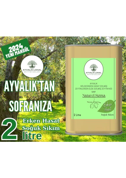 Ayvalık Lokal Naturel Sızma Erken Hasat Soğuk Sıkım Zeytinyağı 2 lt