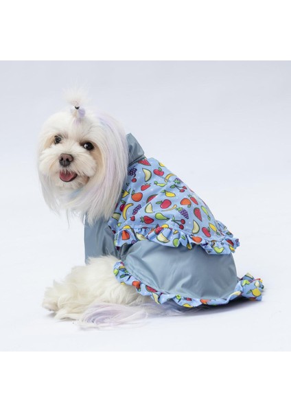 Gri Victoria Köpek Mont