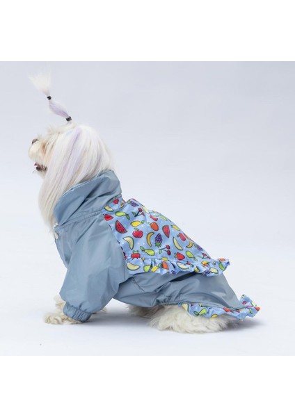 Gri Victoria Köpek Mont modelleri