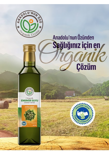 Organik Enginar Suyu ''250ml''