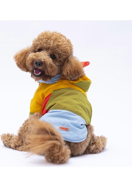 Vivid Kauai Köpek Mont