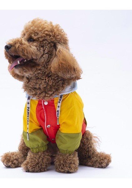 Vivid Kauai Köpek Mont fiyatları