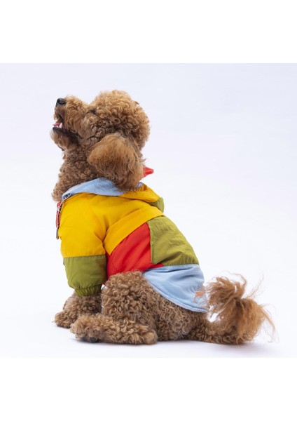 Vivid Kauai Köpek Mont modelleri