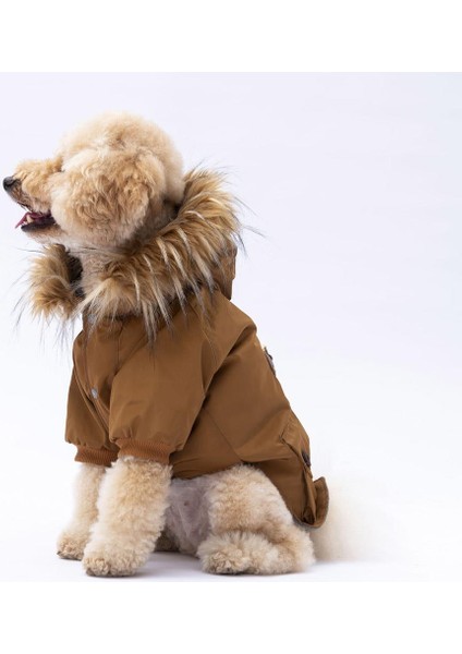 Camel Charles Köpek Mont modelleri