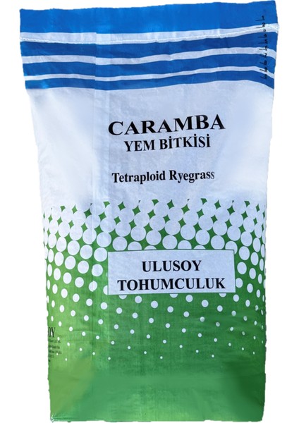 Ulusoy Tohumculuk Caramba Yem Bitkisi Tohumu Tetraploid Ryegrass 25Kg