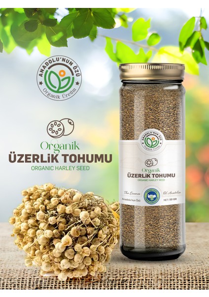Organik Üzerlik Tohumu ''50gr'' fiyatları
