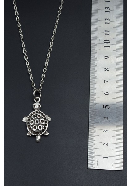 Kaplumbağ Düz Zincir Kolye fırsatları