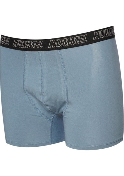 Bekes Erkek Mavi Boxer
