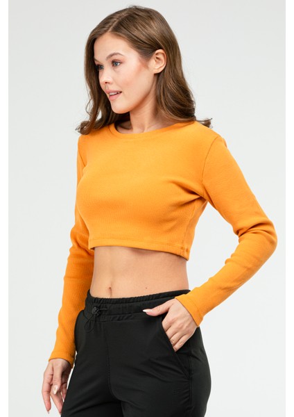 Hardal Slim Fit Pamuklu O Yaka Crop Top Kaşkorse Kadın Tişört SF-0760