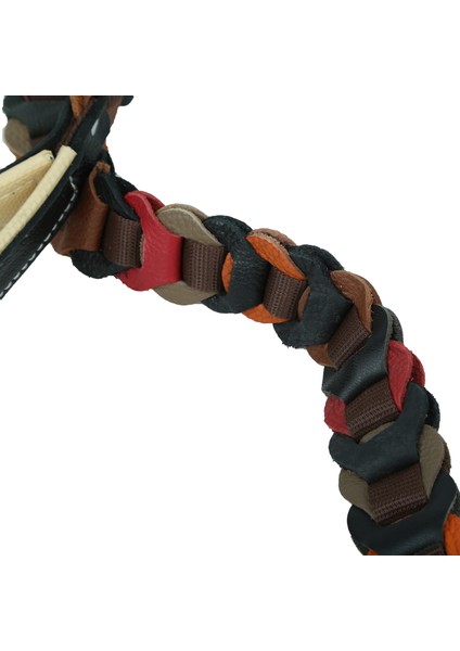 Yaylı Zincir Köpek Gezdirme Kayışı fiyatları