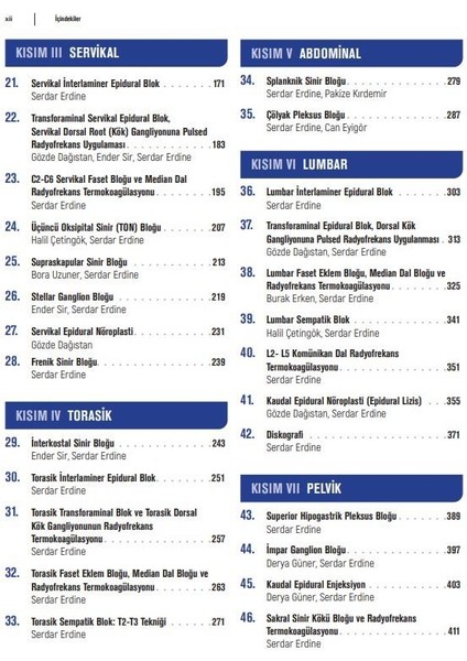 Algolojide Girişimsel Yöntemler 2.baskı - Serdar Erdine