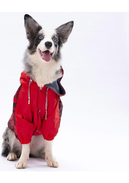 Kırmızı Dijon Büyük Irk Köpek Tulum Yağmurluğu Köpek Yağmurluk Köpek Kıyafeti Köpek Elbisesi fiyatları
