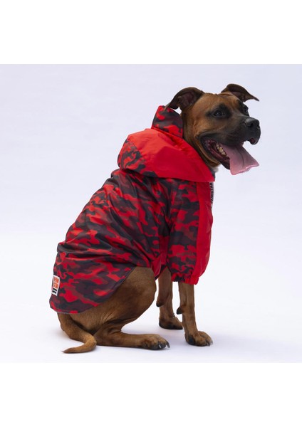 Kırmızı Dijon Büyük Irk Köpek Tulum Yağmurluğu Köpek Yağmurluk Köpek Kıyafeti Köpek Elbisesi fırsatları