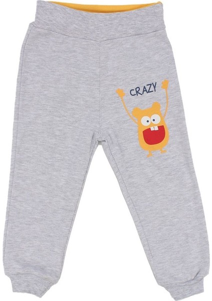 Erkek Çocuk Su Yeşili Gri Crazy Yazılı 2'li Takım - 1014860
