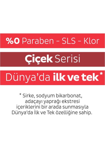 Easy Clean Kiraz Çiçeği Yüzey Temizlik Havlusu 100 Yaprak