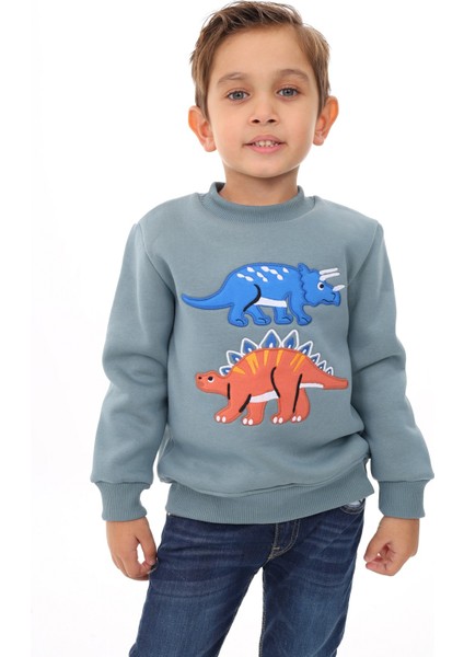 Erkek Çocuk Nakışlı Sweatshirt
