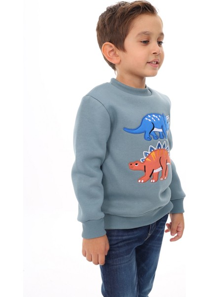 Erkek Çocuk Nakışlı Sweatshirt fiyatları