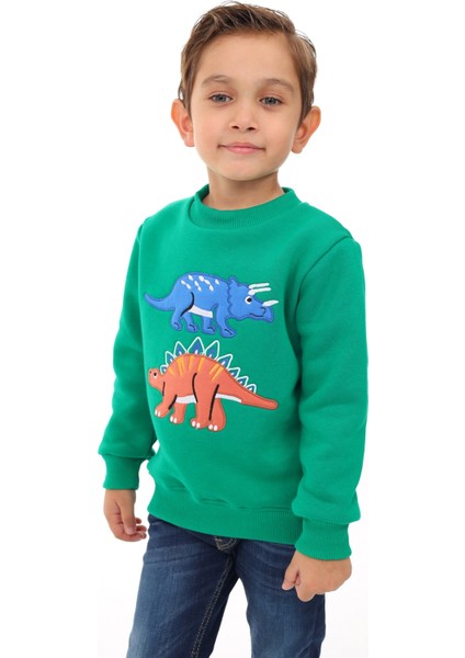 Erkek Çocuk Nakışlı Sweatshirt fiyatları
