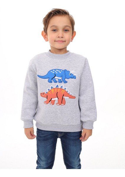 Erkek Çocuk Nakışlı Sweatshirt fiyatları