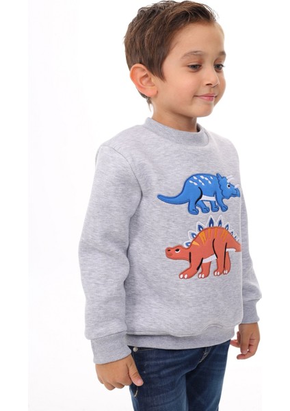 Erkek Çocuk Nakışlı Sweatshirt modelleri