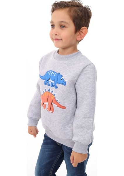 Erkek Çocuk Nakışlı Sweatshirt fırsatları