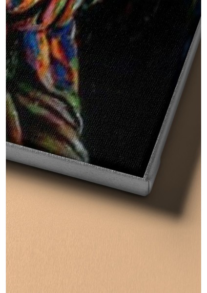 Sayılarla Boyama Seti Kasnaklı Hintli Sanatçı 60 x 75 cm fırsatları