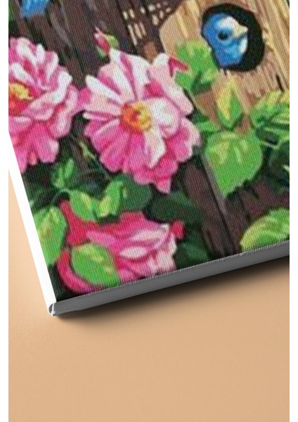 Sayılarla Boyama Seti Kasnaklı Muhabbet Kuşları 60 x 75 cm modelleri