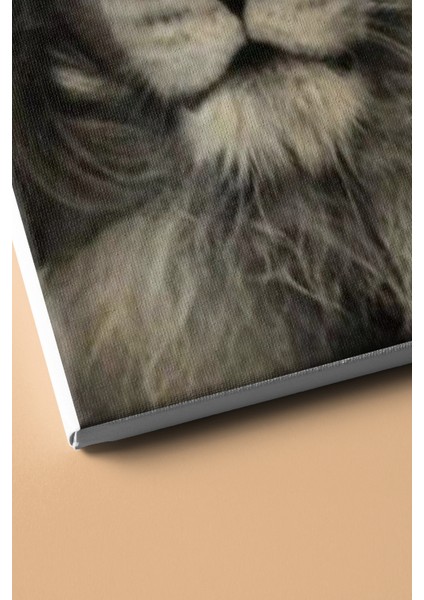 Sayılarla Boyama Seti Kasnaklı Vahşi Güzellik 2 60 x 75 cm modelleri