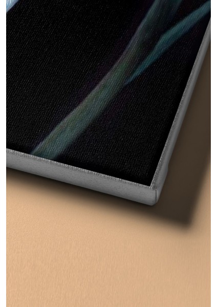 Sayılarla Boyama Seti Kasnaklı Nilüfer 2 50 x 65 cm