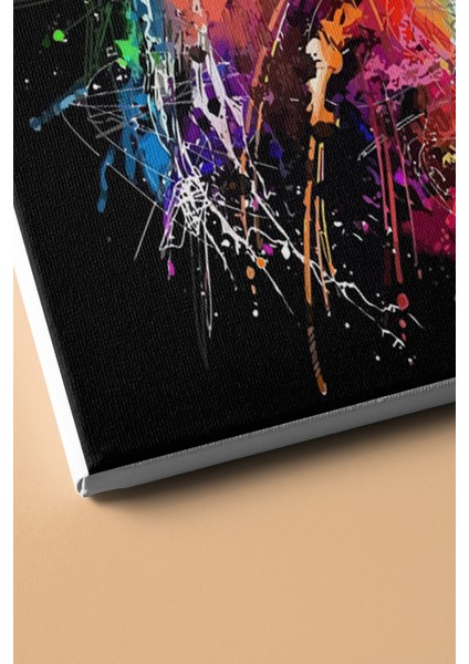 Sayılarla Boyama Seti Kasnaklı Kükreyen Kaplan 60 x 75 cm modelleri