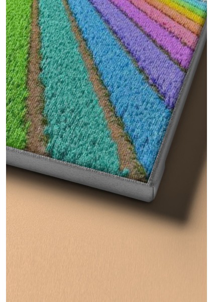 Sayılarla Boyama Seti Kasnaklı Gökkuşağı Tarlası 50 x 65 cm fırsatları