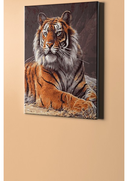 Sayılarla Boyama Seti Kasnaklı Kaplan Bakış 50 x 65 cm fiyatları