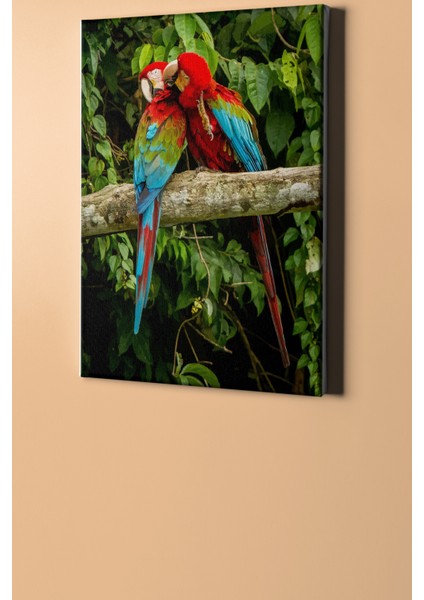 Sayılarla Boyama Seti Kasnaklı Aşık Papağanlar 50 x 65 cm fiyatları