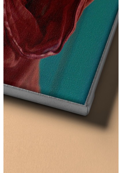 Sayılarla Boyama Seti Kasnaklı Afgan Kız 50 x 65 cm fırsatları