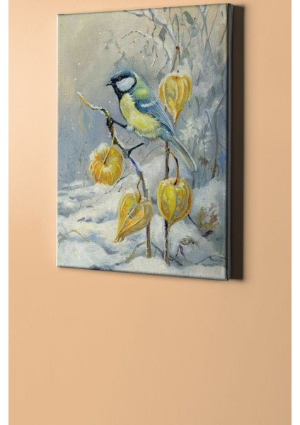 Sayılarla Boyama Seti Kasnaklı Kar ve Kuş 60 x 75 cm fiyatları