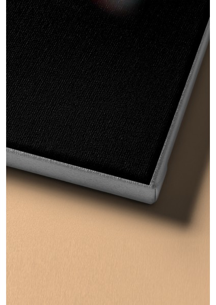 Sayılarla Boyama Seti Kasnaklı Kamikaze 60 x 75 cm fırsatları