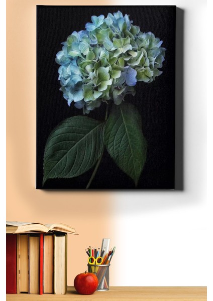 Sayılarla Boyama Seti Kasnaklı Dağ Ortancası 40 x 50 cm