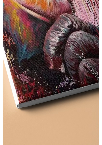 Sayılarla Boyama Seti Kasnaklı Gorilin Bakışı 50 x 65 cm modelleri