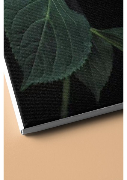 Sayılarla Boyama Seti Kasnaklı Mavi Ortanca 50 x 65 cm modelleri