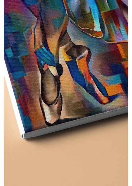 Sayılarla Boyama Seti Kasnaklı Renkli Balerin 40 x 50 cm modelleri