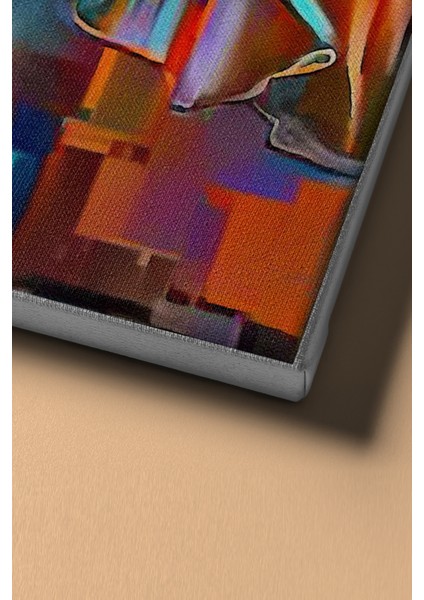 Sayılarla Boyama Seti Kasnaklı Renkli Balerin 40 x 50 cm fırsatları