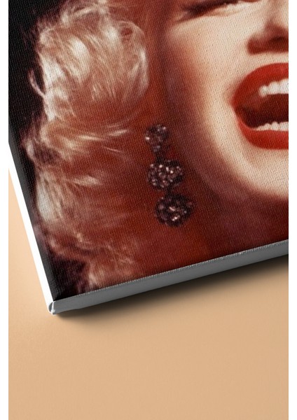 Sayılarla Boyama Seti Kasnaklı Monreo Gülüşü 60 x 75 cm modelleri