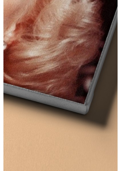 Sayılarla Boyama Seti Kasnaklı Monreo Gülüşü 60 x 75 cm fırsatları