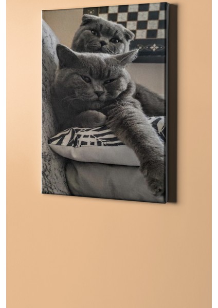 Sayılarla Boyama Seti Kasnaklı Ponçik Kediler 60 x 75 cm