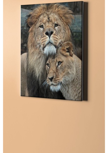 Sayılarla Boyama Seti Kasnaklı Aslanlar 40 x 50 cm