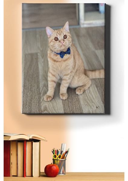 Sayılarla Boyama Seti Çerçeveli Kasnaklı Süslü Kedi 60 x 75 cm